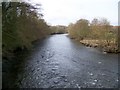 River Leven near Haverthwaite in LA12 8LY