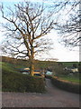 Road to Lower Comberoy Farm in EX5 3DS