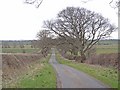 Lane near West House Farm in Whalton