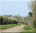 2010 : Walking the dogs on Ayford Lane in SN14 8AB
