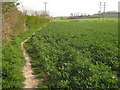 Footpath towards Milton Manor Farm in CT4 7PP