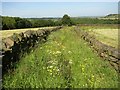 Footpath east of Calf Hey Farm, Barkisland in HX4 0HQ