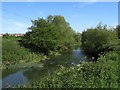 River Avon south of Chippenham in SN15 2NN