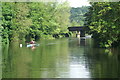 River Avon above Newbridge Railway Bridge in BA1 3NB
