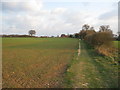 Footpath towards Breach Farm in RG23 7DQ