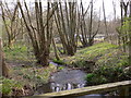 Stream near Thursley in GU8 6NB