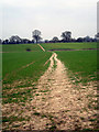 Footpath to Kenilworth in CV35 7NU
