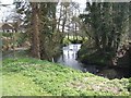 River Tean downstream of Hey Bridge in ST10 4LW