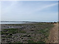 River Deben looking inland from Bawdsey in IP12 3BA