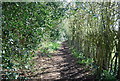 Footpath west of Sissinghurst in TN17 2JH