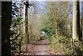 Footpath in Hilly Wood in TN17 3JQ