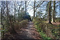 Footpath through Hilly Wood in TN17 3JQ