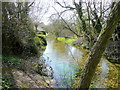 River Bourne at Idmiston in SP4 0LE