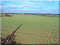 Arable land north of Thorpe Constable in B79 0LJ