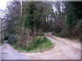 Track leading from St Mary's woods to Yawl Hill in EX13 5SU