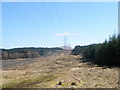 Break in the forest for Electricity pylons in PA32 8XQ