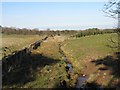 Unnamed watercourse at Linton Muir in EH46 7AS