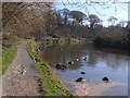River Coquet looking upstream in NE65 0UY