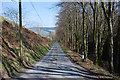 Minor road descending towards the Ystwyth valley in SY23 4SH