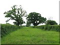Bridleway - possible old drove road in SN12 6RF
