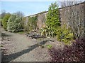 Winsford Walled Garden, Beaworthy in EX21 5XT