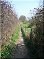 Footpath, Alderholt in SP6 3BE