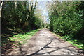High Weald Landscape Trail approaching Angley Woods in TN17 3EY