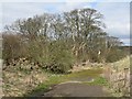 Old road near Old Philpstoun in EH49 6RN