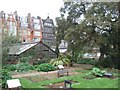 Chelsea Physic Garden in SW3 4LJ
