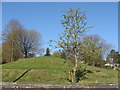 Piggy's Hill park - no cloud, no con-trail in Chepstow Community