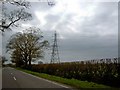 Pylons from Bosworth Lane, Leicestershire in CV13 0DS