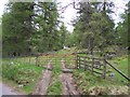 Landrover Track to Grouse Butts in AB35 5US