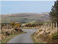 Approaching the junction with the Bwlch Derwin-Llangybi road in LL51 9EX
