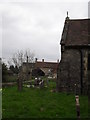 Spring in the churchyard at St Peter, Lodsworth (1) in GU28 9DE