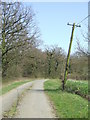 The Leaning Pole Of Wattisfield in IP22 1NN