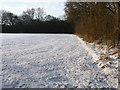 Grateley - Snowy Field in SP11 8RX