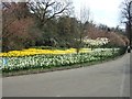 Spring in the Flower Garden in SE3 7AF