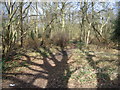 Path across Upper Bucklebury Common in RG18 4NY