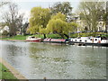 River Cam, Cambridge in CB3 0BU