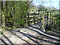 Footbridge over the River Mole in RH12 4QY