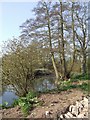 River Alne near Pennyford in B95 6HP