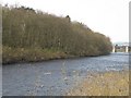 The River Tyne below Corbridge in NE45 5RW