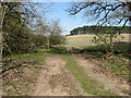 Farm track crossing the Nar Valley Way in PE32 1UG