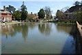 Village Pond, Goudhurst in TN17 1BA