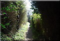 Footpath in Goudhurst in TN17 1BA