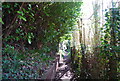 Footpath in Goudhurst (2) in TN17 1BA