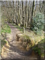 Bridleway Fork on Hydon Heath in GU8 4DP