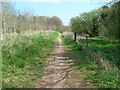 Footpath west of Sulis Manor in BA2 2FX