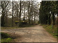 Bridleway and track junction in Bedgebury Forest in TN5 7PJ