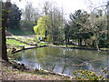 Outflow Pond at Busbridge Lakes in GU7 1ST